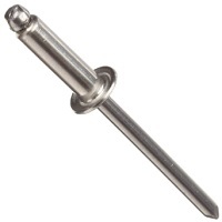 100248 100248  RIVET