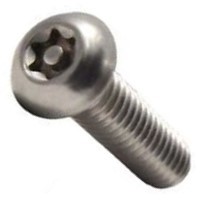 M4-.7 X 10MM TORX PAN A2 SS PA TAMPERPROOF
