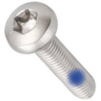 M3-.5 X 10MM TORX PAN MACHINE SCREW 18-8